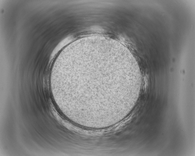 X0000085270004200704092152