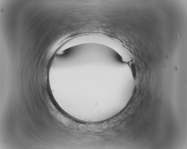 X0000085270005200704092152