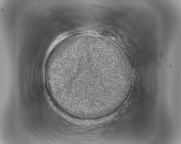 X0000085270006200704092152