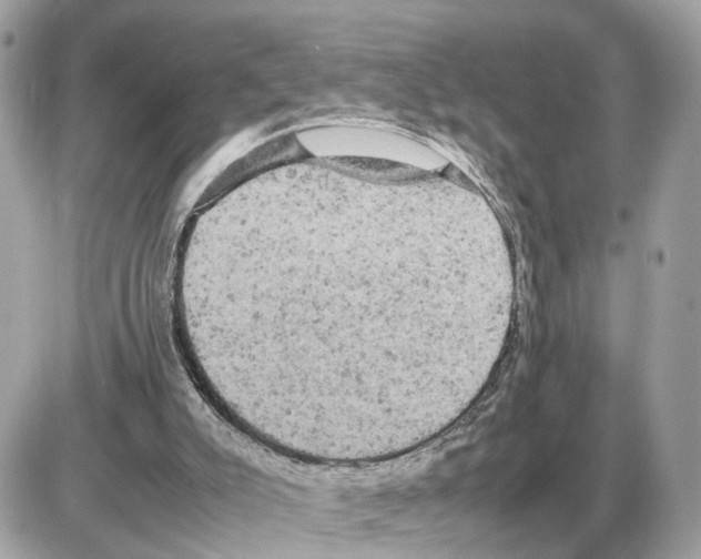 X0000085270007200704092152