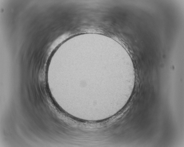 X0000085270008200704092152