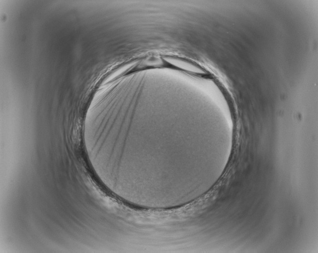 X0000085270009200704092152