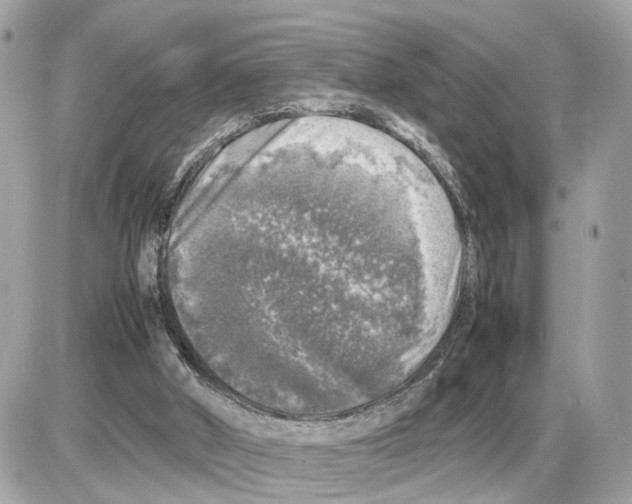 X0000085270010200704092152