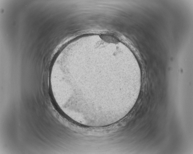 X0000085270011200704092152