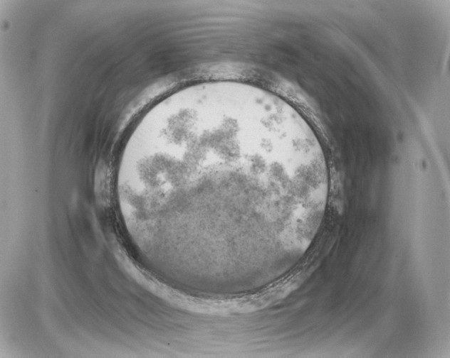 X0000085270012200704092152