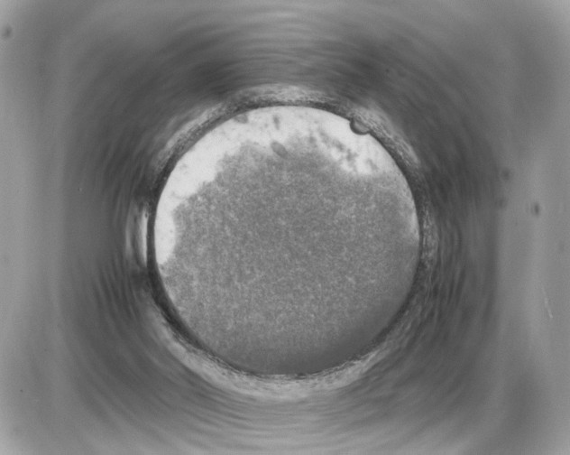 X0000085270014200704092152