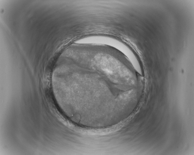 X0000085270017200704092151