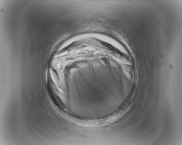 X0000085270019200704092151