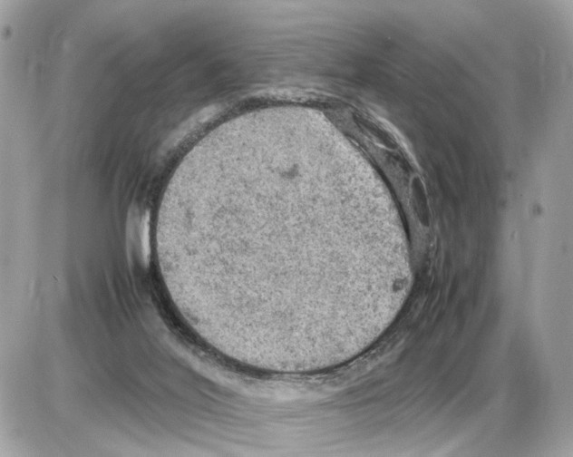 X0000085270020200704092151