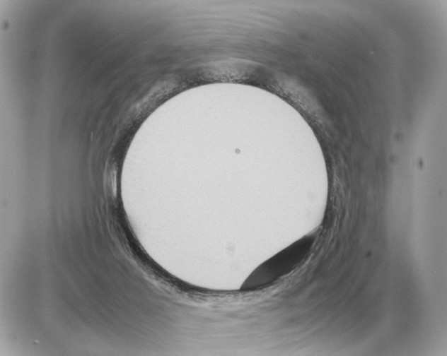 X0000085270021200704092151