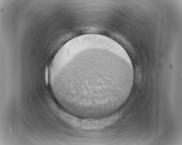 X0000085270022200704092151