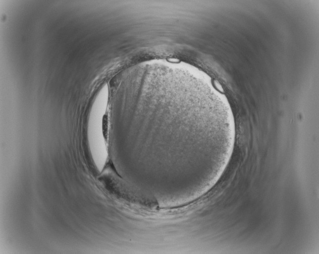 X0000085270023200704092151