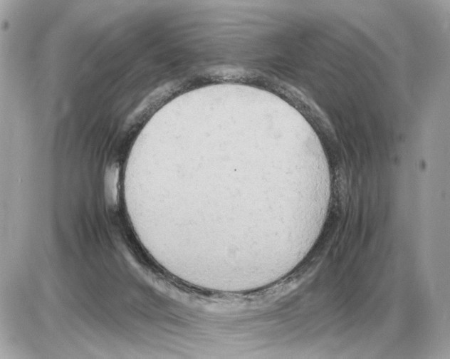 X0000085270024200704092151