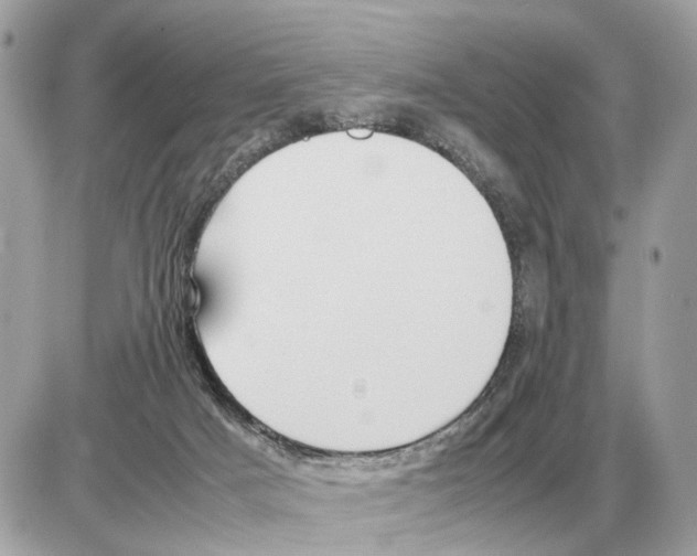 X0000085270025200704092151