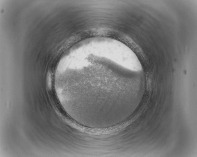 X0000085270026200704092151