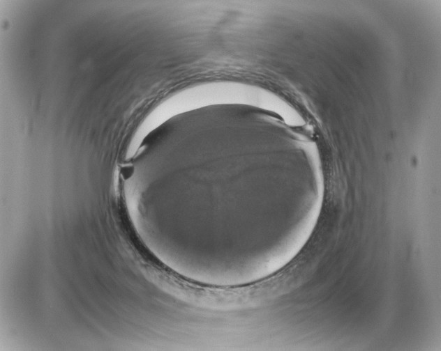 X0000085270027200704092151