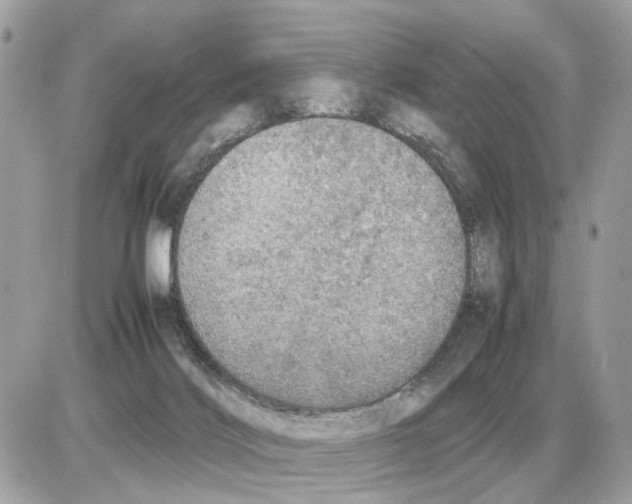 X0000085270028200704092151