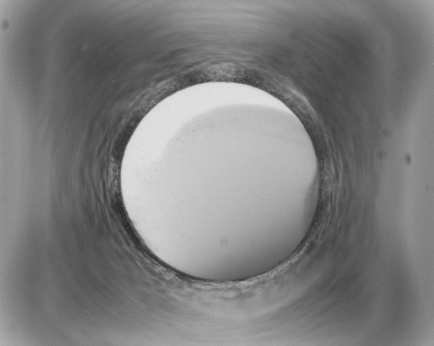 X0000085270029200704092151