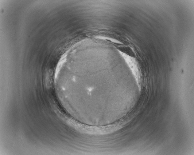 X0000085270030200704092151