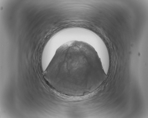 X0000085270031200704092151