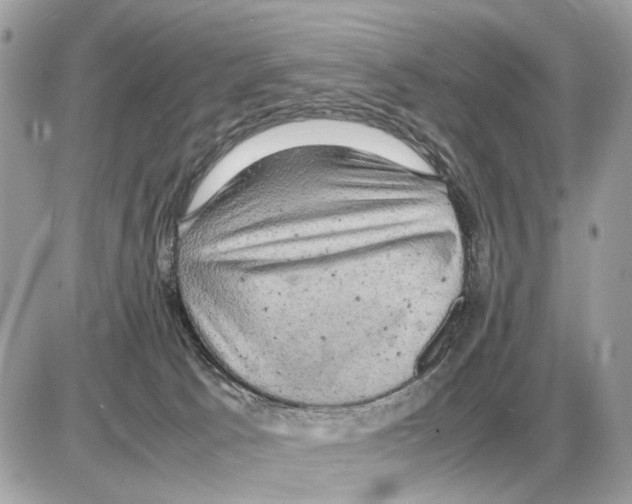 X0000085270033200704092151