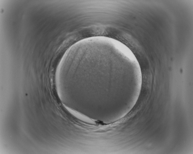 X0000085270035200704092151