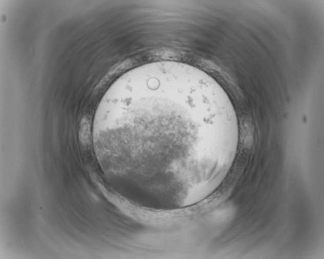 X0000085270036200704092151