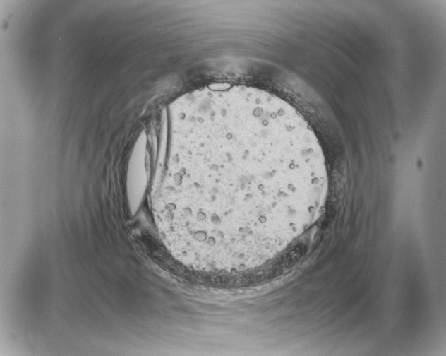 X0000085270037200704092151