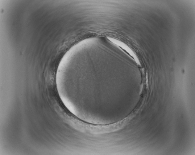 X0000085270039200704092151