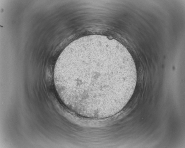 X0000085270040200704092151