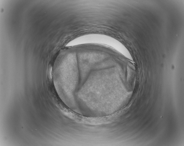 X0000085270041200704092151