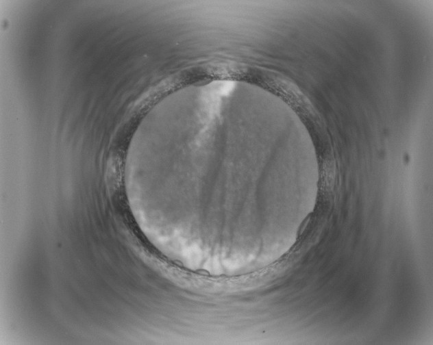 X0000085270043200704092151