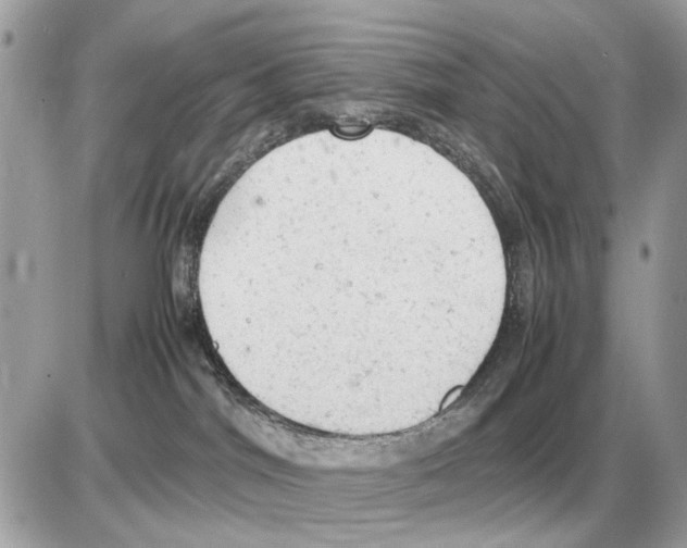 X0000085270044200704092151