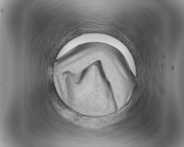 X0000085270045200704092151