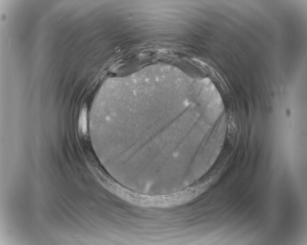 X0000085270046200704092151