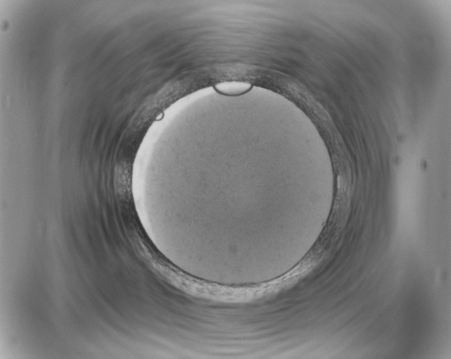 X0000085270048200704092151