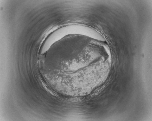 X0000085270050200704092150