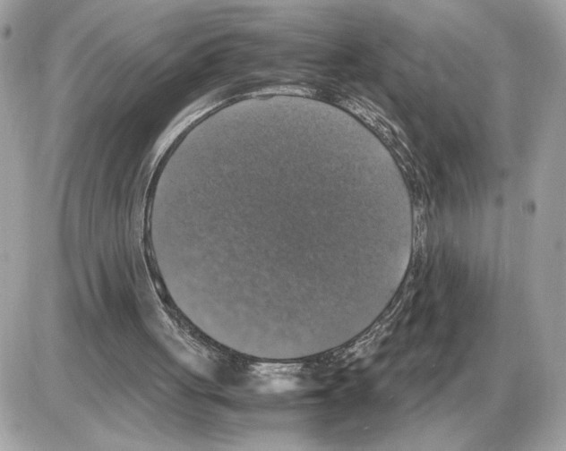 X0000085270051200704092150