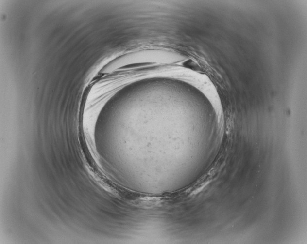 X0000085270052200704092150