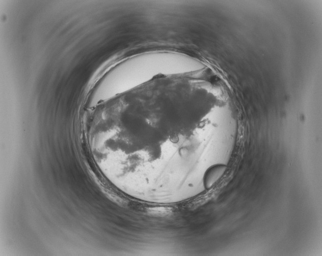 X0000085270053200704092150