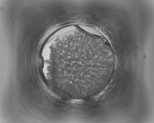 X0000085270055200704092150