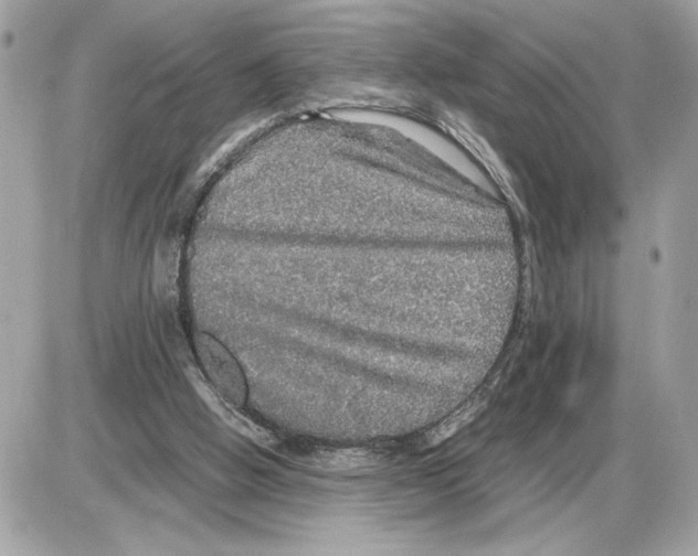 X0000085270058200704092150