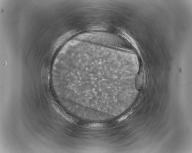 X0000085270059200704092150