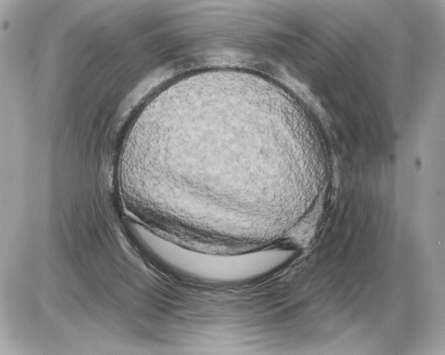 X0000085270060200704092150