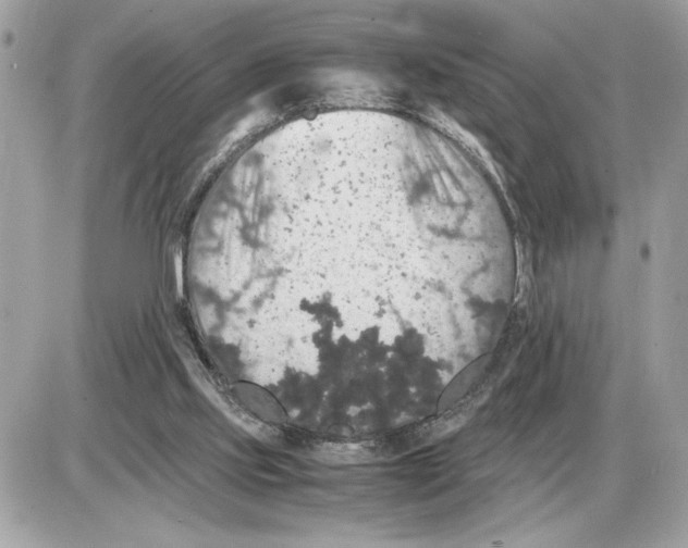 X0000085270061200704092150