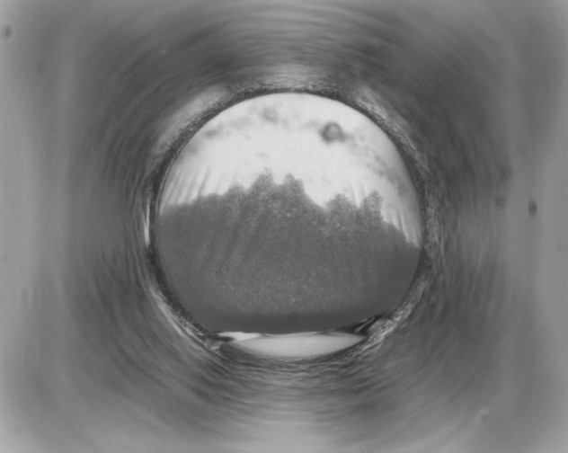 X0000085270062200704092150