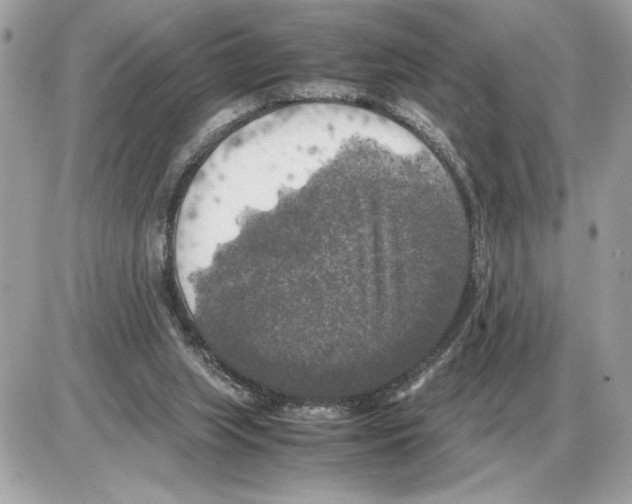 X0000085270063200704092150