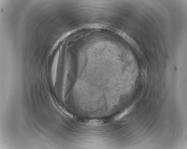 X0000085270064200704092150