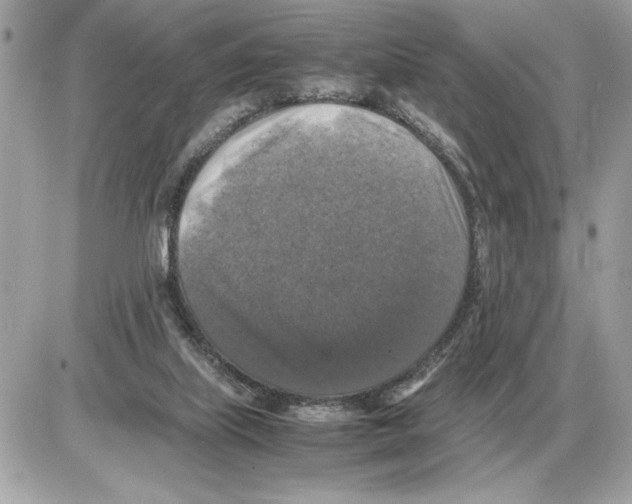 X0000085270067200704092150