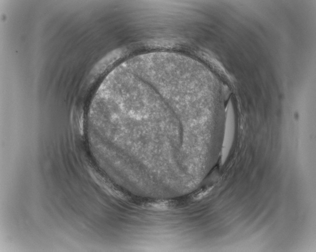 X0000085270068200704092150